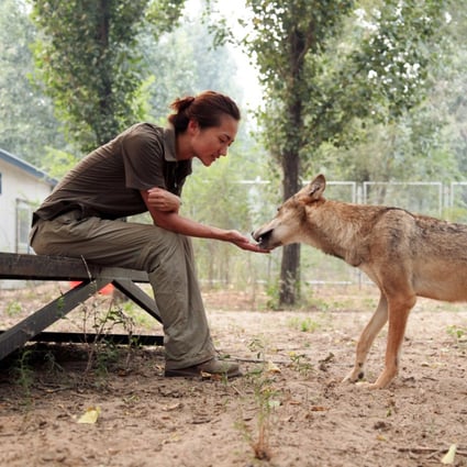 Call of the wild proves too strong for Chinese animal lover Rain Wu | South China Morning Post Call of the wild proves too strong for Chinese animal lover Rain Wu | South China Morning Post