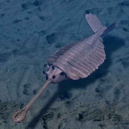 Did animal dung cause the Cambrian explosion? Chinese researchers think so | South China Morning Post Did animal dung cause the Cambrian explosion? Chinese researchers think so | South China Morning Post