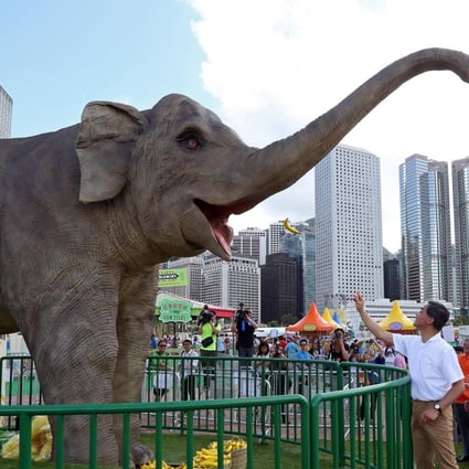 Chief executive Leung Chun-ying feeds bananas to robotic elephant Tino at yesterday's amusement park opening. Photo: Nora Tam