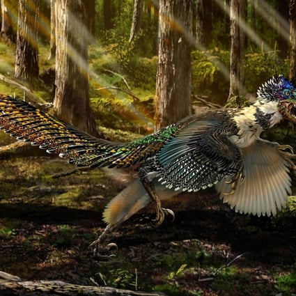 An artist's impression of the Zhenyuanlong suni, which lived 125 million years ago. Photo: AFP