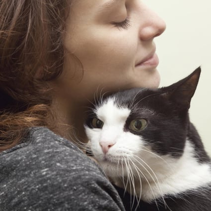 It's important for pet owners to get their animals accustomed to being handled by humans beyond petting, so that they can tolerate grooming and veterinary check-ups. Photos: Thinkstock