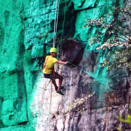 A worker dangles by a rope to spray-paint the cliff green. Photo: China Foto Press