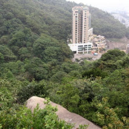 Land at Tai Wo Ping had been allocated for housing. Photo: Edward Wong