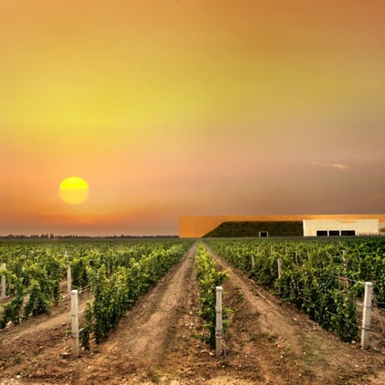 Ningxia is positioning itself as the Bordeaux of China, and some big producers are moving in. Photo: Courtesy of LVMH