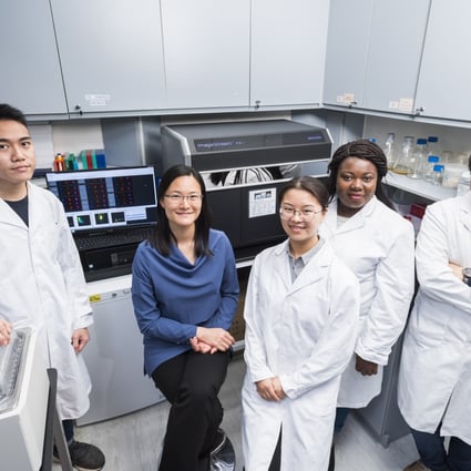 Dr Chow Kwan Ting (second from left) and her research team at CityU.