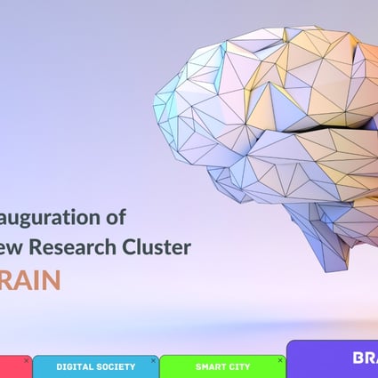 The Brain research cluster studies the human brain and its impact on affective, behavioural, and cognitive functions.