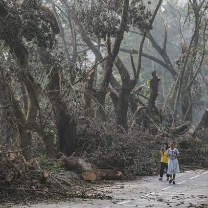 Students walk past damaged trees in Sheung Shui after Typhoon Mangkhut hit Hong Kong on September 16, 2018. Extreme weather events are one of the consequences of climate change. Photo: Sam Tsang