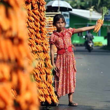A young vendor holds a bunch of carrots for sale on a street in Cisarua Bogor, Indonesia, on September 24, 2012. Photo: EPA-EFE