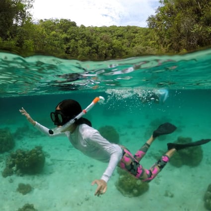 A young visitor dives in Nikko Bay, Palau. A travel corridor between the island nation in Micronesia and Taiwan is set to open this week. Palau is one of the few places in the world to have recorded no cases of Covid-19, and Taiwan has had relatively few cases. Photo: Shutterstock