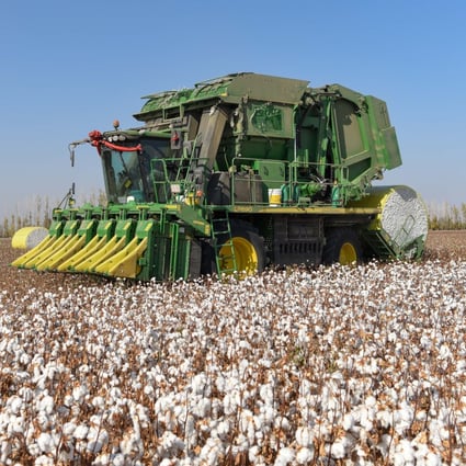 Xinjiang is China’s biggest producer of cotton. Photo: XInhua