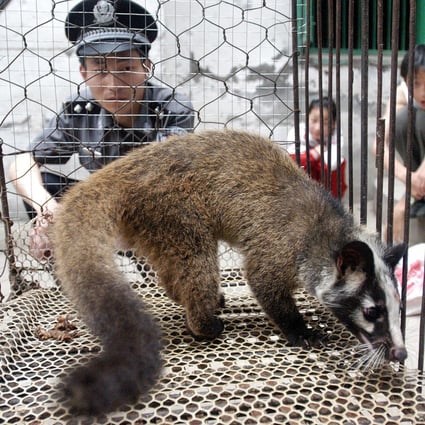 China is cracking down on the wildlife trade. Photo: AFP