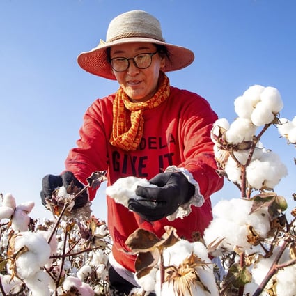 In The Xinjiang Cotton Row Principle Has Been Hijacked For Political Profit South China Morning Post