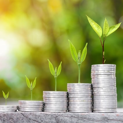 Earth Summit 2021: China excludes fossil fuel projects from green bonds