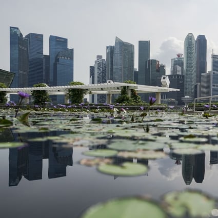 Singapore’s financial district skyline is seen reflected in a lotus pond on April 28. Photo: EPA