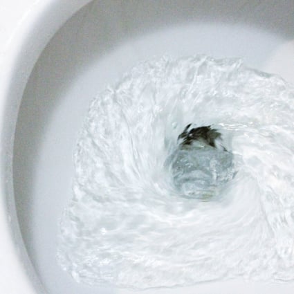 Flushing our waste down a toilet is inefficient and a poor use of scarce clean water, writes Chelsea Wald in Pipe Dreams, her deep dive into the ills and possibilities of sanitation. Photo: Shutterstock
