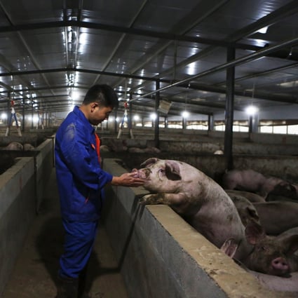 Pork prices in China have fallen more than 50 per cent since mid-January amid sluggish demand and panic selling due to new African swine fever outbreaks. Photo: Xinhua 