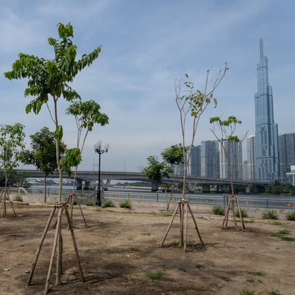Trees planted as part of the 1 Billion Trees programme in Ho Chi Minh City. Photo: Michael Tatarski
