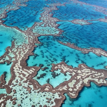 The Great Barrier Reef off the coast of Queensland, Australia, is in danger of being removed from the Unesco list of World Heritage Sites as it has lost half of its corals since 1995. Photo: Shutterstock