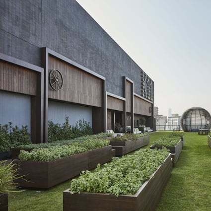 A rooftop garden at K11 Atelier King’s Road, in Quarry Bay, Hong Kong. Photo: Kevin Mak