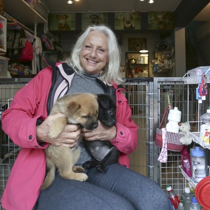 Sally Andersen, founder of Hong Kong Dog Rescue. Photo: Jonathan Wong