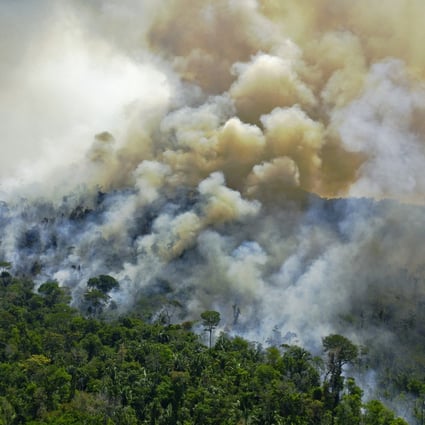 A burning area of the Amazon in Para state, Brazil, on August 16, 2020. Perhaps some friendly billionaires could club together to buy the rainforest? Photo: AFP
