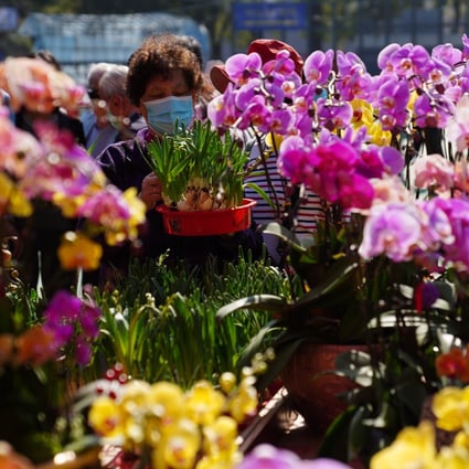 People shop for plants at the Lunar New Year Fair in Victoria Park, Causeway Bay, on February 7.  Photo: Sam Tsang