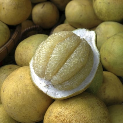 The pomelo’s spherical shape signifies the full moon, while its pronunciation in Chinese is identical to the word for “bless”. Photo: Ullstein Bild via Getty Images