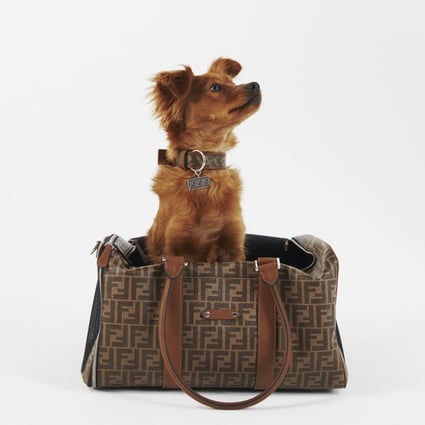 6 designer pet accessories for autumn, from Louis Vuitton's stylish and Tiffany's signature blue set, to Versace's raincoat and Hermès' dog bed | South China Morning Post