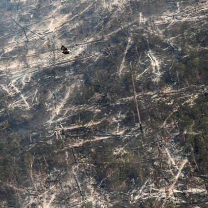 A hawk flies over a tract of burnt Amazon jungle near Porto Velho, Rondonia, Brazil in August 2020. The financial burden of conserving the  forests of Indonesia, Central Africa and the Amazon should not be placed on their populations who are most vulnerable to climate change. Photo: Reuters