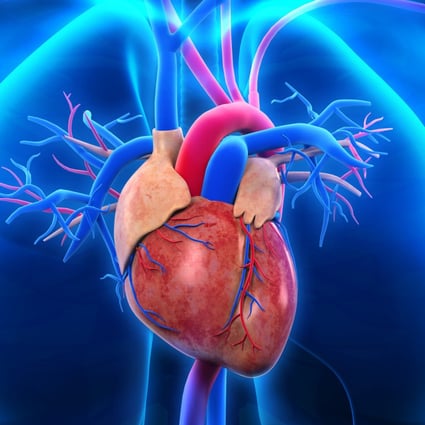 World Heart Day 2021 Tips On Keeping Yours Healthy Through Lifestyle Changes And Devices That Alert You To Problems South China Morning Post