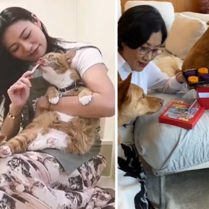 Hong Kong celebrities like Nicholas Tse, Elanne Kong and Liza Wang love to spoil their pets.Pictures: @chefnicookies, @catseasonshotel, @wang_liza/Instagram