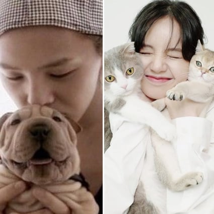 K-pop idols G-Dragon, Blackpink’s Lisa and Super Junior’s Heechul all faced controversy over their pets. Photos: GDTV; @lalalalisa_m, @kimheenim/Instagram