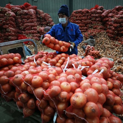 A vendor loads up bags of onions at a market in Shenyang, in China’s northeastern Liaoning province, on December 9. Pork prices may have fallen but the cost of other food products is spiking in China, with fresh vegetables up by 30.6 per cent in November from a year ago. Photo: AFP 