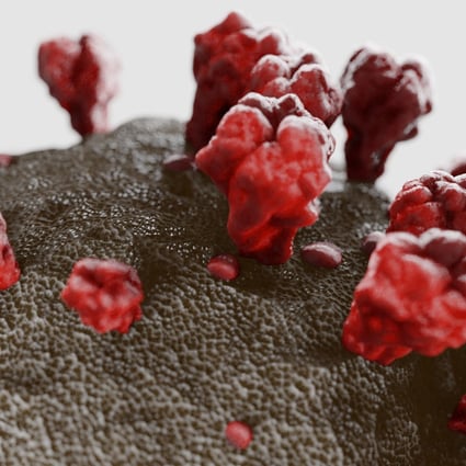 3D art based in microscope images of the coronavirus. Photo: Getty Images