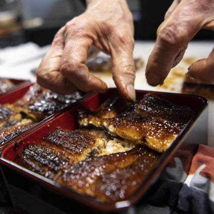 Japanese chef Tsuyoshi Hachisuka prepares grilled eel at his restaurant in Hamamatsu, Shizuoka prefecture, Japan. Shrinking Japanese eel stocks have helped fuel a lucrative black market for the delicacy. Photo: AFP