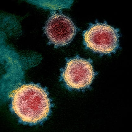 Even small percentages of the highly viral Omicron variant would add up to big numbers of cases overall. Photo: AP
