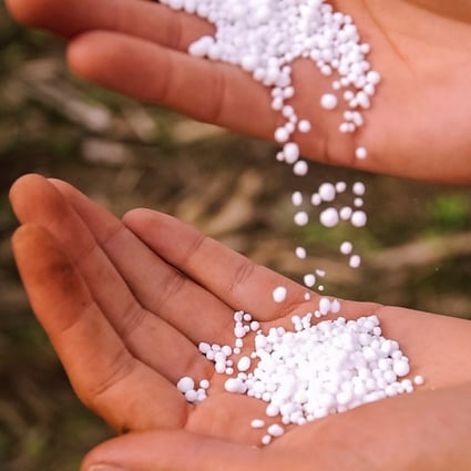 A handful of urea pellets of the type commonly used as fertiliser. Photo: Nutrien Handout via Reuters