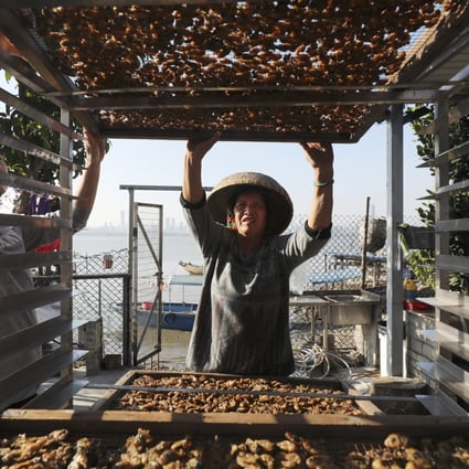 Oyster farm owner Chan To-ngan (right) and son Edwin Chan at her farm in Lau Fau Shan. Photo: Xiaomei Chen