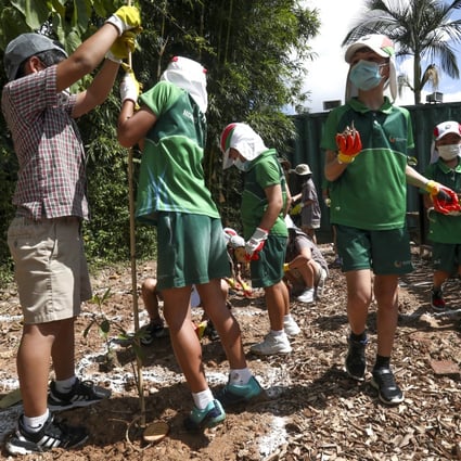 Pupils from International College Hong Kong Hong Lok Yuen in Tai Po plant a tiny forest on August 23. Photo: Jonathan Wong