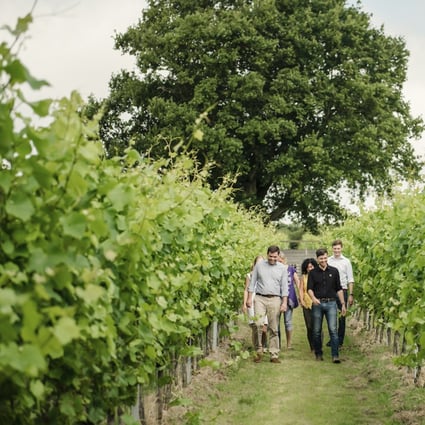 Visitors tour the vineyard in Kent, England, of sparkling wine producer Gusbourne. The best English bubbly is a match for champagne in quality and texture, but with a crisper taste, an expert says. (Gusbourne via AP)