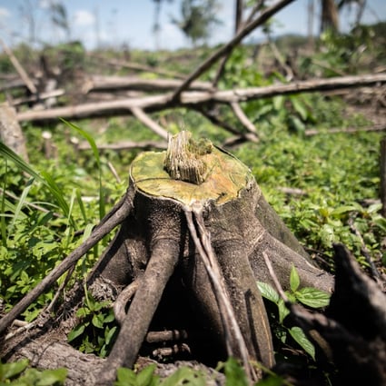 A deforested area is seen near El Capricho, Guaviare department, Colombia, in November. Photo: Bloomberg