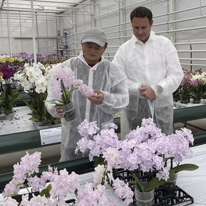 Jack Ma seen visiting a greenhouse builder in the Netherlands on October 25, 2021. Photo: Handout