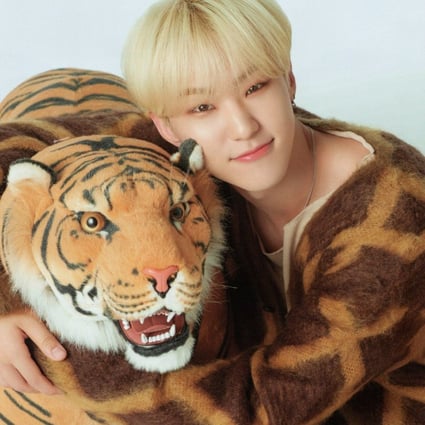 Tiger Power by Hoshi from Seventeen (above) is a great song to celebrate the new Year of the Tiger. Photo: Pledis Entertainment
