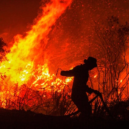 A firefighter extinguishes a fire in a forest in Indonesia in 2019. Photo: AFP