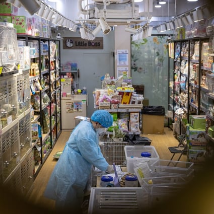 An officer from the Agriculture, Fisheries and Conservation Department works in the Little Boss pet shop in Hong Kong on January 19. The government has called on pet owners to surrender their hamsters for culling amid suspicions of animal-to-human Covid-19 transmission. Photo: EPA-EFE 