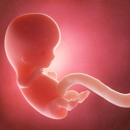 The technology could help solve some major reproductive problems for humans, say researchers behind project. Photo: Shutterstock 