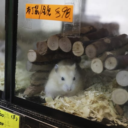 Hong Kong pet store owner calls for better communication from