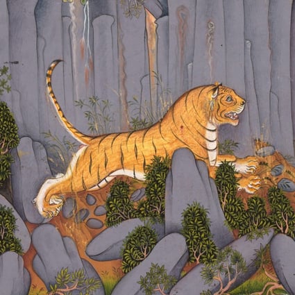 Year of the Tiger: where does the word 'tiger' come from and what ...