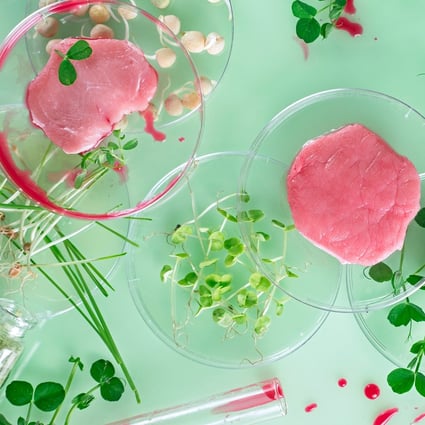 China has given prominence to alternative proteins such as lab-grown meat in the latest five-year agricultural plan. Photo: Shutterstock 