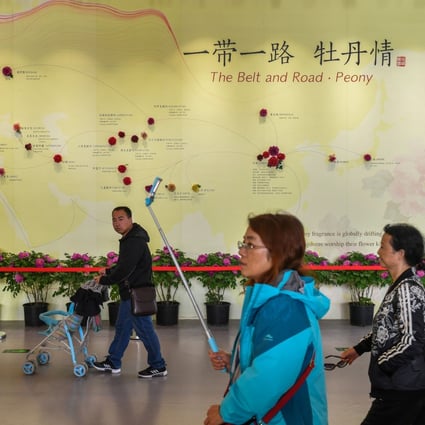 A Belt and Road Initiative display at Beijing Expo 2019, before Covid-19 changed the infrastructure fund’s focus to public health. Photo: Reuters